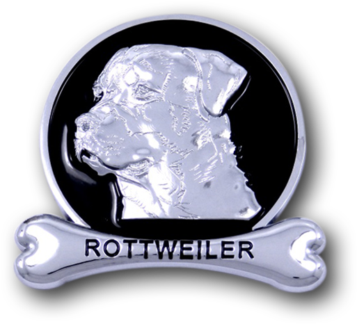 American Bulldog (555x555), Png Download