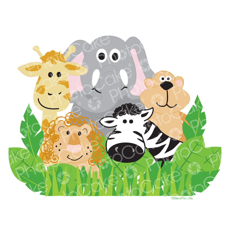 Jungle Animals - Image - Zoo Animals Pictures Cartoon (800x800), Png Download