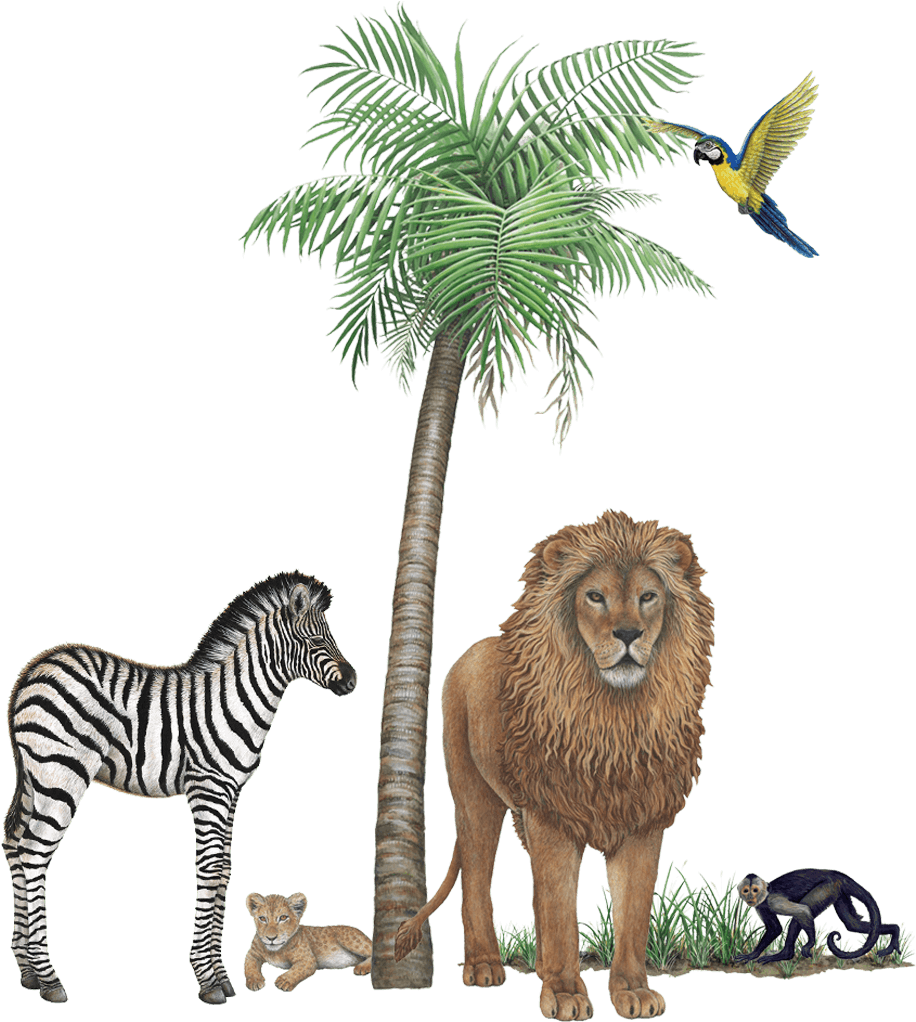 Jungle Wildlife Mural Collection - Palm Tree Mural Decal (1024x1024), Png Download