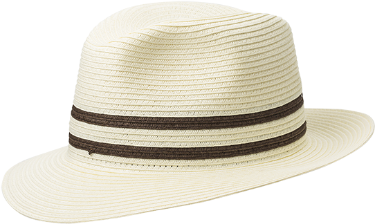 Fedora Hat Png (600x600), Png Download