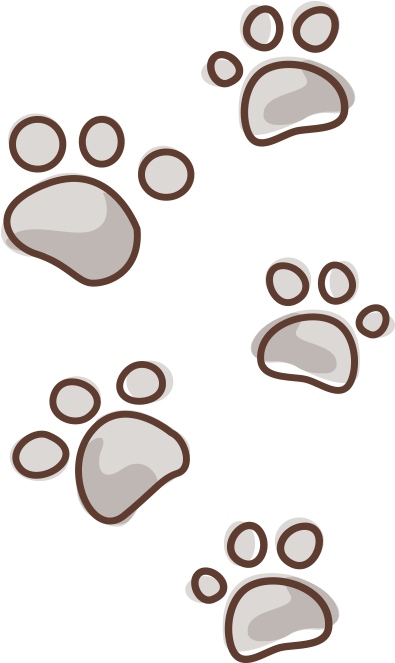 Decorazioni Murali Per Bambini Cani & Gatti, Adesivo - Orme Gatti (700x700), Png Download