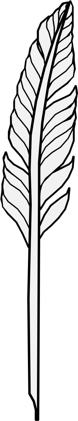 Details, Png (299x1461), Png Download