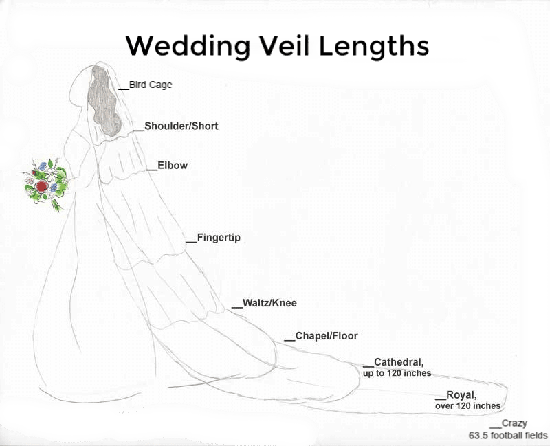 Bird Cage - Sketch (800x649), Png Download