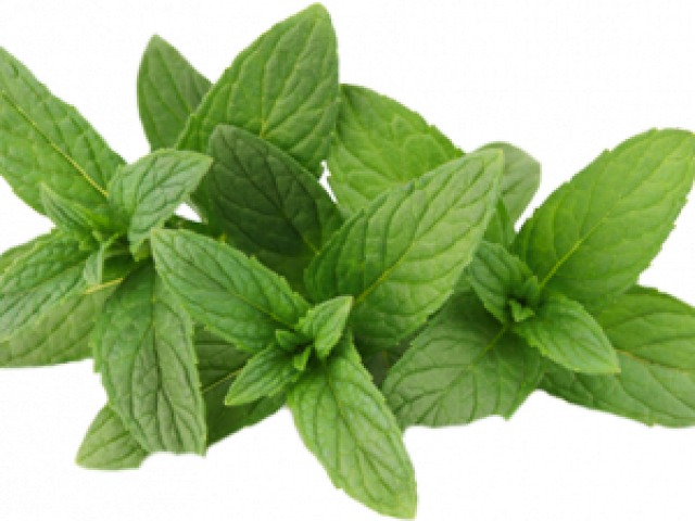 Mint Leaf Powder (640x480), Png Download