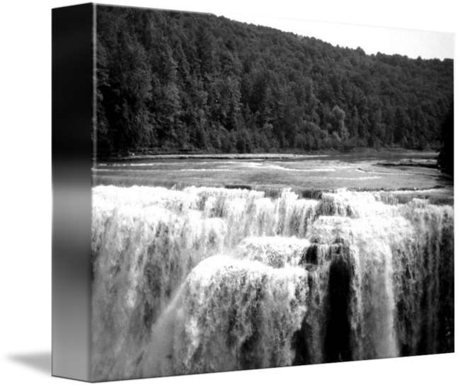 Monochrome (650x547), Png Download