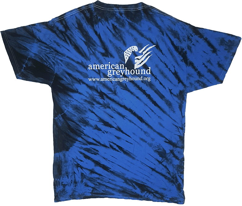 Blue/black Tiger Stripe Tie-dye - Active Shirt (788x670), Png Download