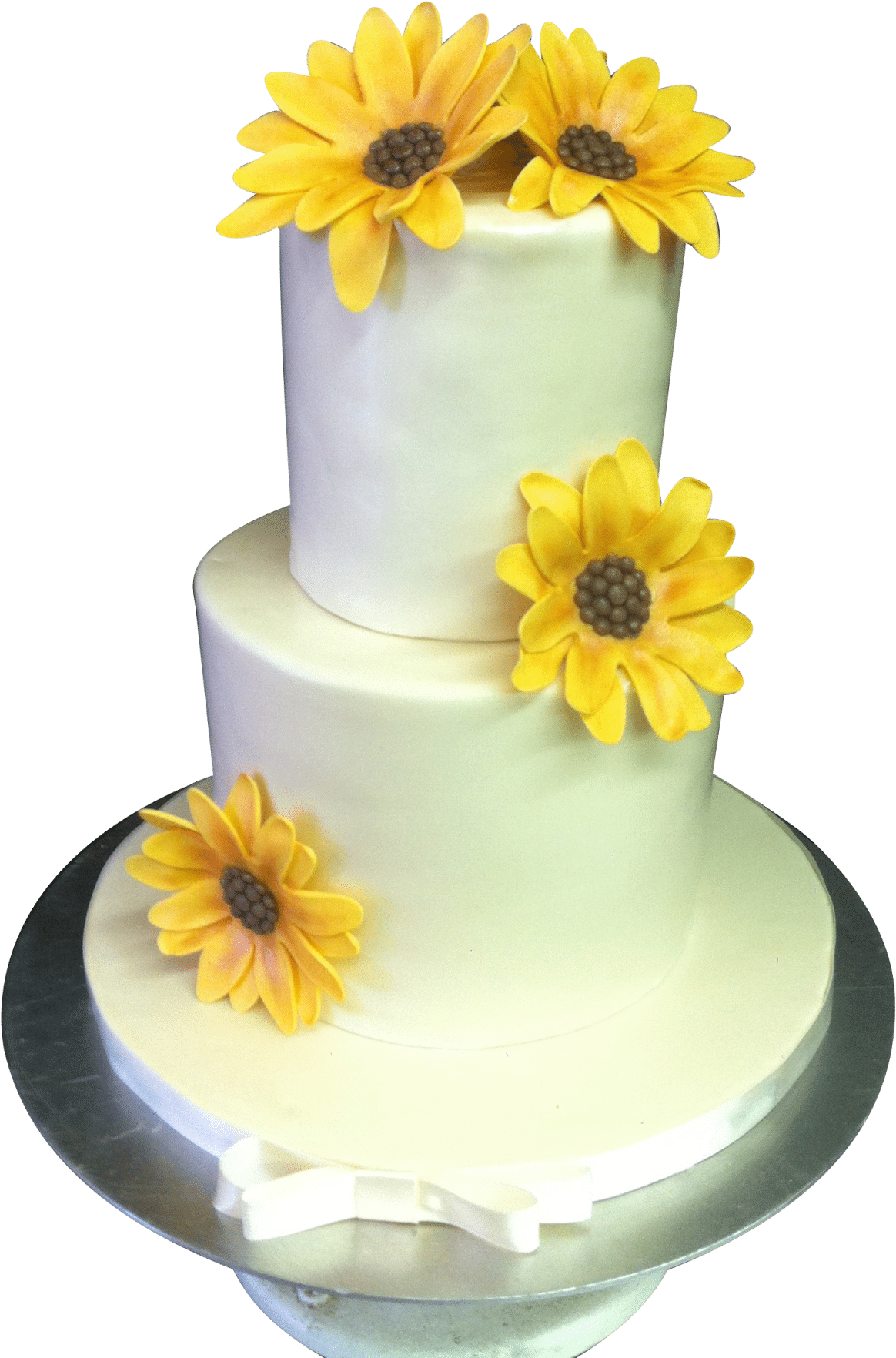 Daisy (1530x2048), Png Download