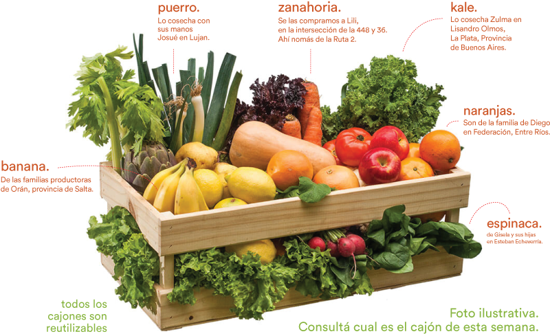 Elegí Fruta Y Verdura De Verdad - Broccoli (800x573), Png Download