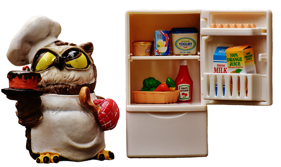 Owl, Bake, Cook, Refrigerator, Figure, Cute, Funny - Cute Refrigerator Png (960x587), Png Download
