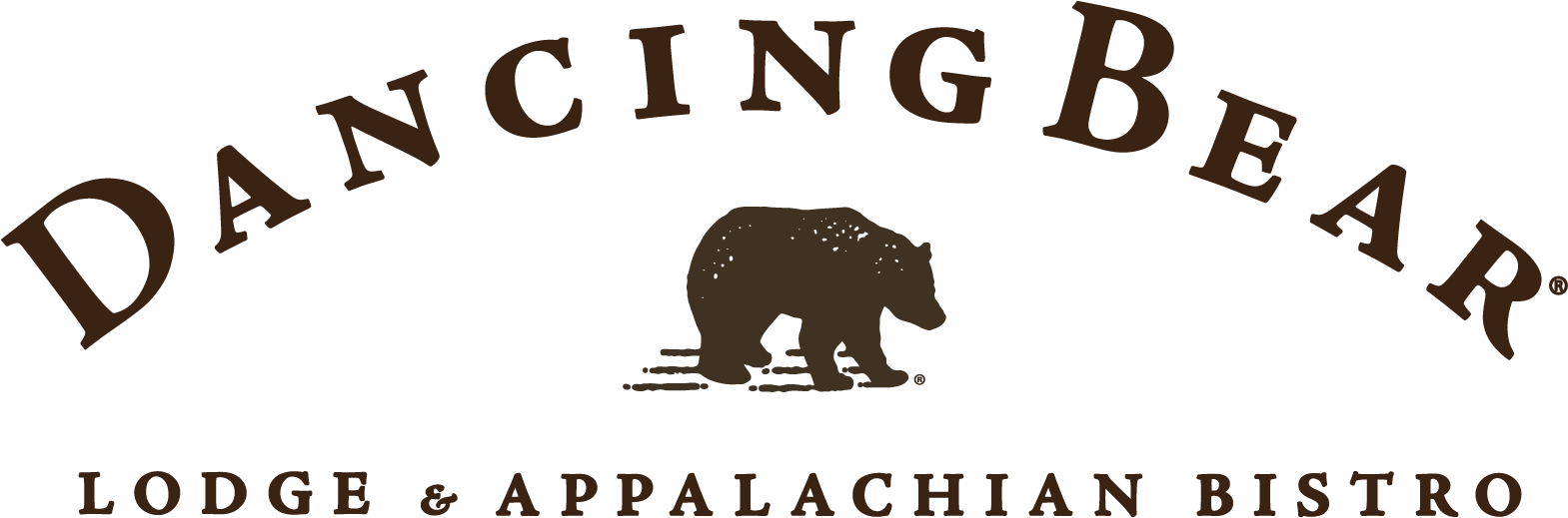 Dancing Bear Lodge - American Black Bear (1587x537), Png Download