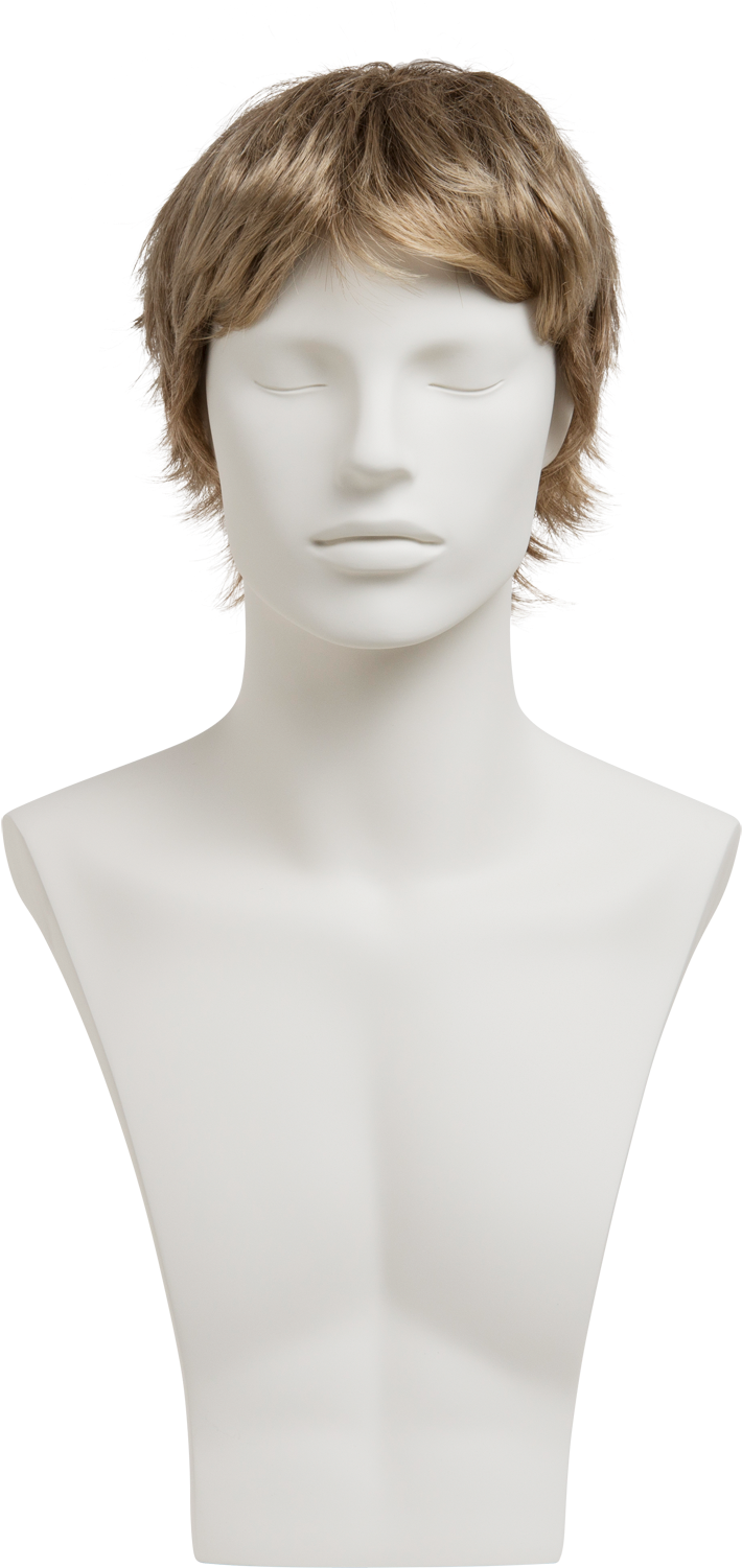 Male Wigs - Mannequin (1500x1500), Png Download
