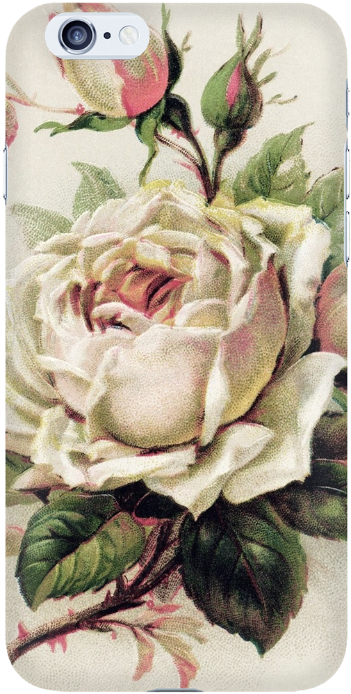 Vintage Rose Phone Case - Vintage White Rose Png (1024x1024), Png Download
