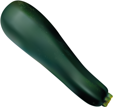Zucchini - Bottle (866x650), Png Download