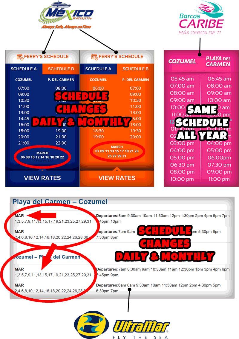 Playa Del Carmen To Cozumel Ferry Info - Cozumel Ferry Schedule (800x1137), Png Download