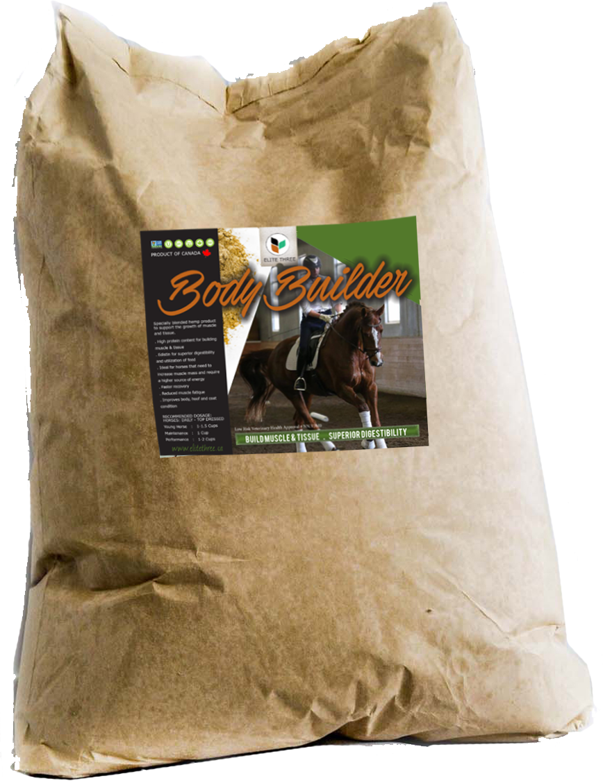 Elite Body Builder (868x1125), Png Download