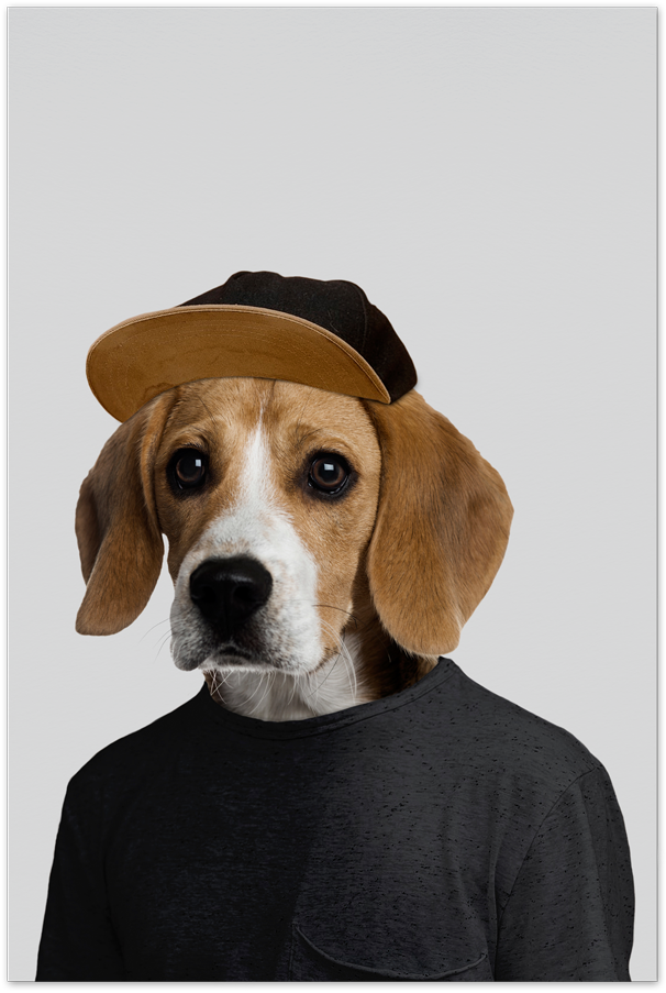 Beagle Christmas Cards - Beagle Poster (680x996), Png Download