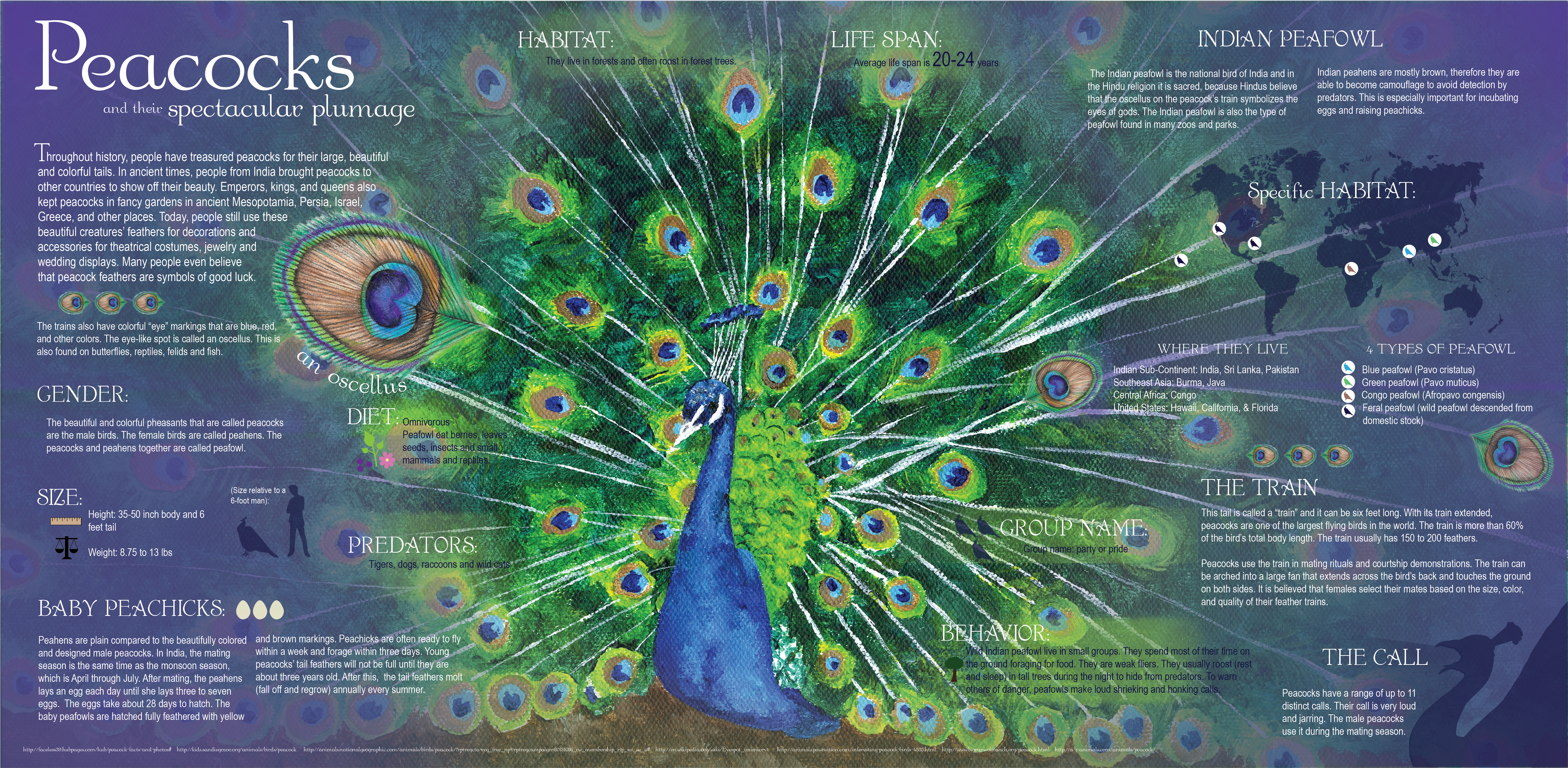 Indian Feather Png (7459x5311), Png Download