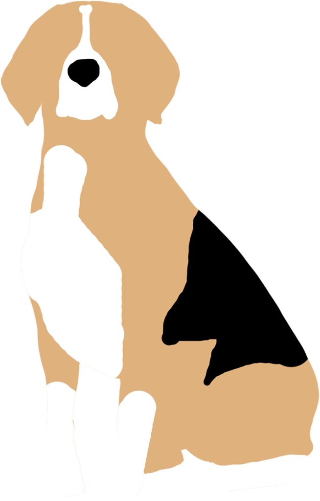 Beagle (1000x1142), Png Download