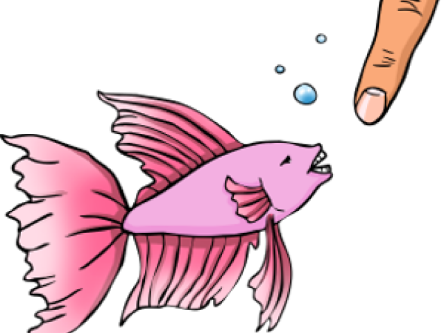 Coral Reef Fish (640x480), Png Download