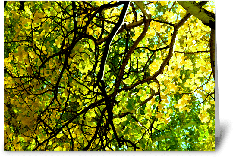 Aspen Gold Greeting Card - Stained Glass (848x698), Png Download