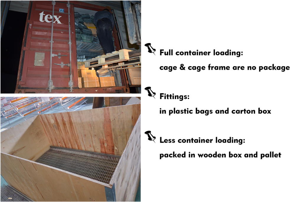 Chicken Layer Cage For Sale/wire Mesh Cage Chicken - Plywood (1000x708), Png Download