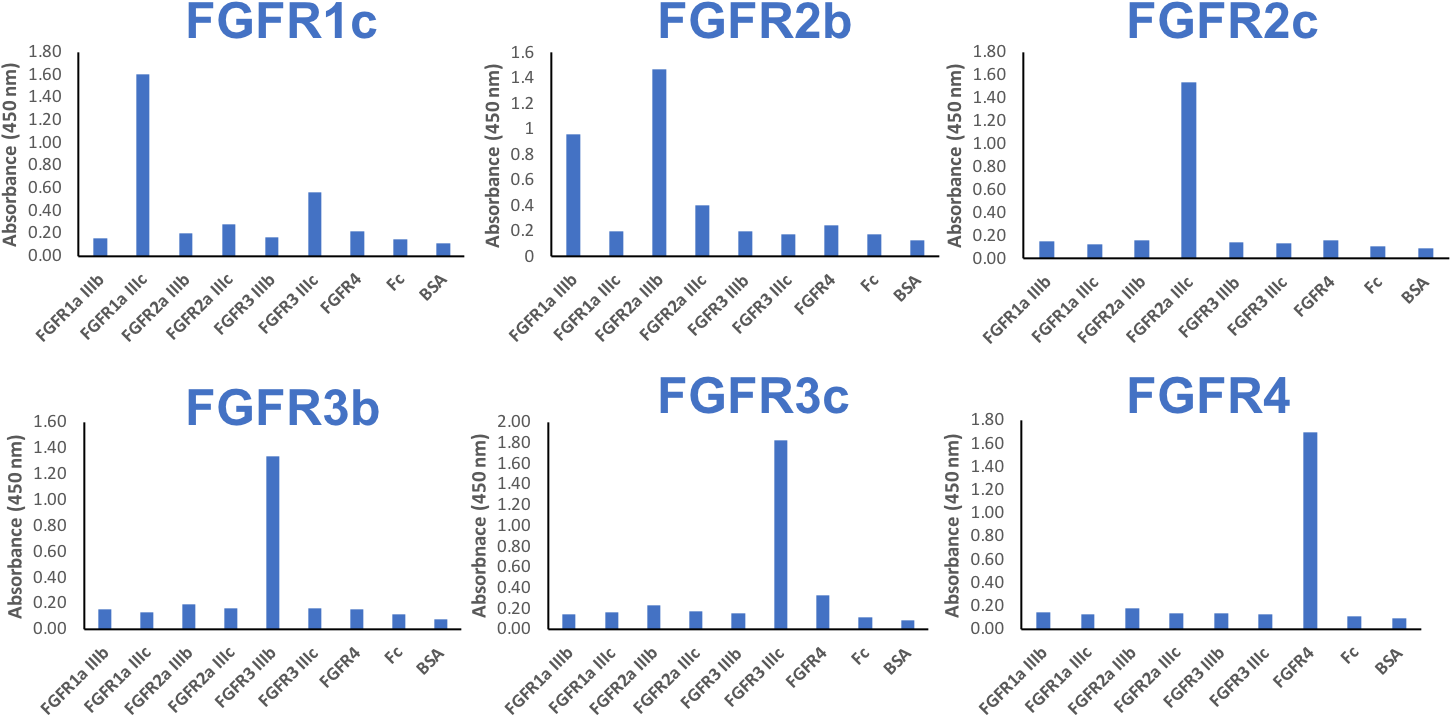 Isoform-specificity Of The Fgfr Antibody Panel - Diagram (1500x758), Png Download