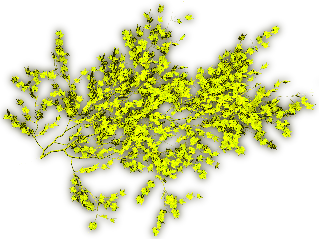 24 Mar 2009 - Illustration (640x480), Png Download