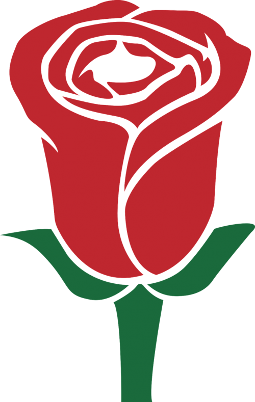 Rose,red,green,mother's - Rosa Dia Das Maes Png (500x789), Png Download