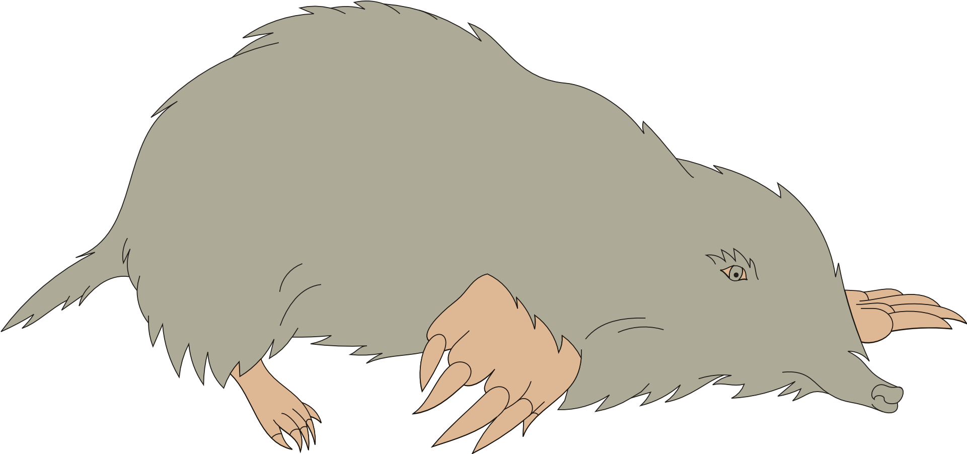Clip Art Claw Transprent Png Free Download - Mole Clipart (1920x960), Png Download
