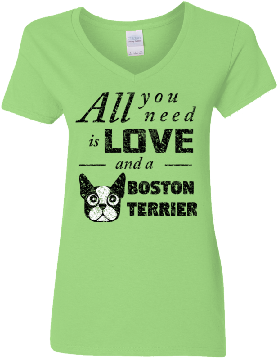 Ladies V Neck T Shirt All You Need Is Love, And A Boston - Love Poems For A Girl (1155x1155), Png Download