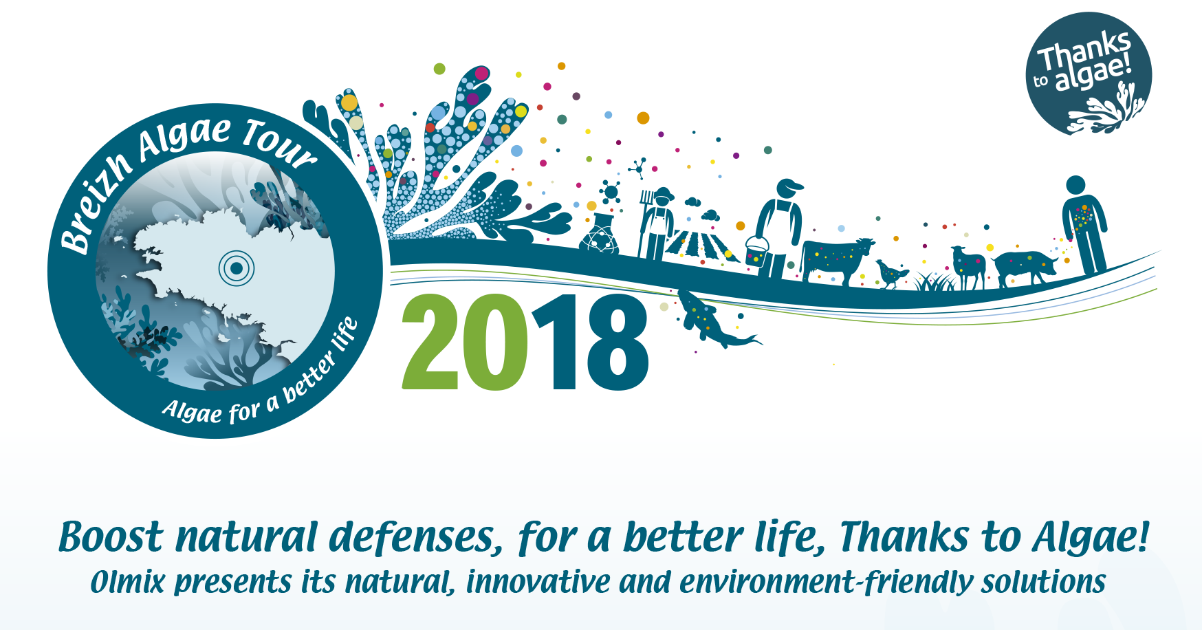 Olmix Algue (1748x916), Png Download