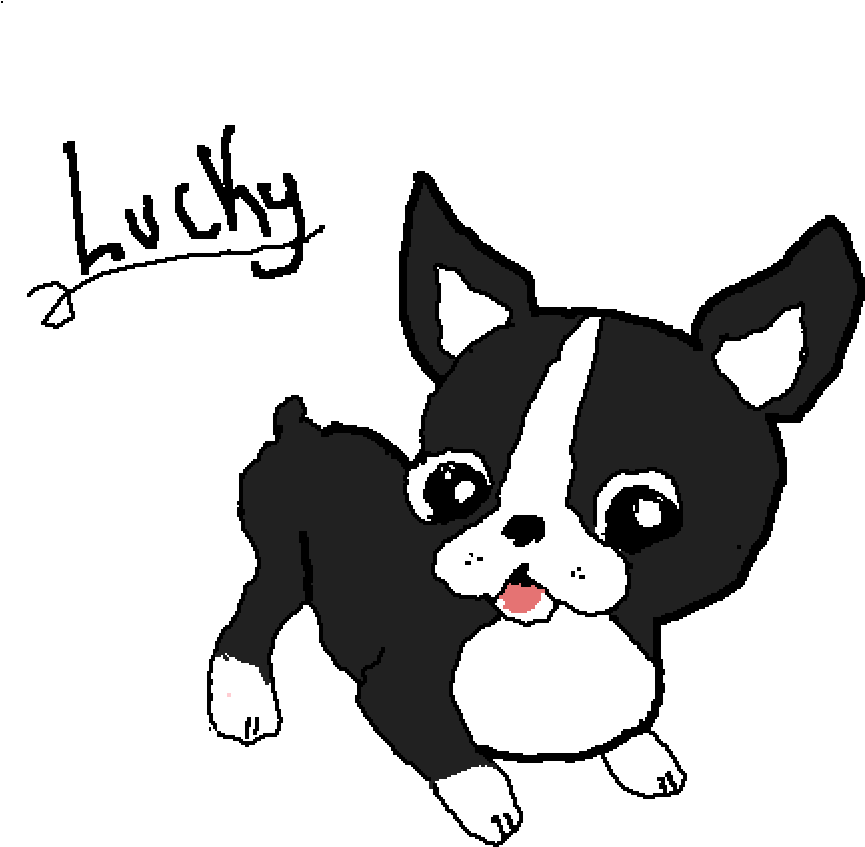 Lucky My Boston Terrier - Cute Kawaii French Bulldog (1000x1000), Png Download