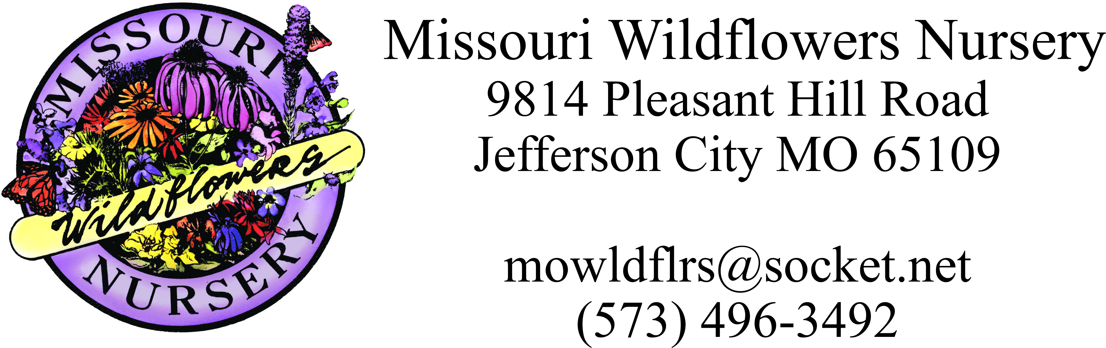 Missouri Wildflowers Nursery - Illustration (4000x1364), Png Download