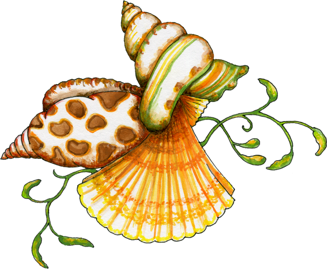 Sea Art, Paint Shop, Sea Creatures, Painted Shells, - Sea Shells Clip Art (640x527), Png Download