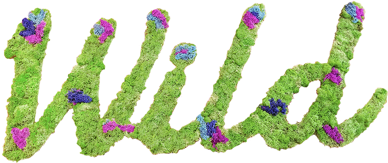 Moss Texture Png (1080x1080), Png Download