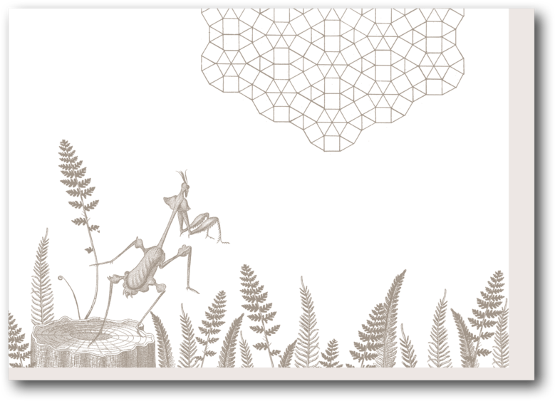 Geo Mantis - Illustration (1000x1080), Png Download