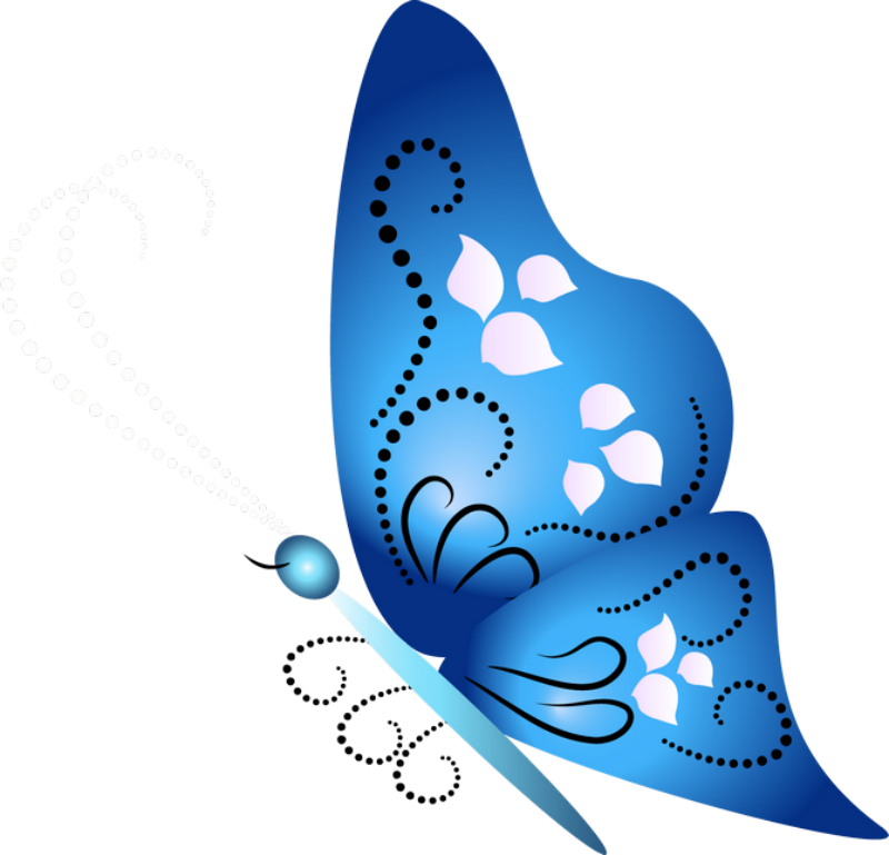 ‿✿⁀butterflies‿✿⁀ - Kişilikle Ilgili Sözler (800x769), Png Download