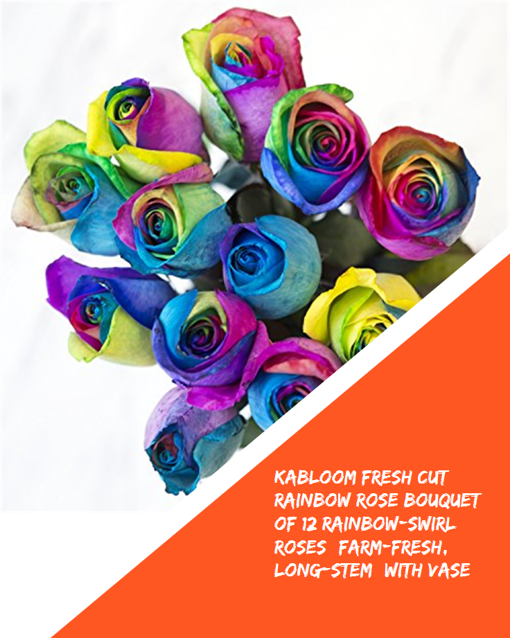Kabloom Fresh Cut Rainbow Rose Bouquet Of 12 Rainbow - Rainbow Rose (735x1100), Png Download
