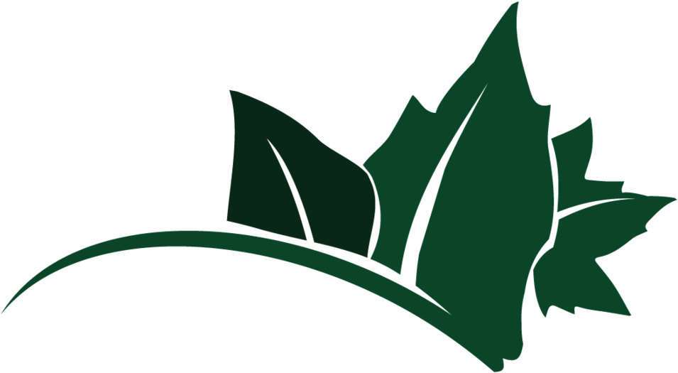 Png Transparent Leaf Logo W/out Text A Friend Design (1000x590), Png Download