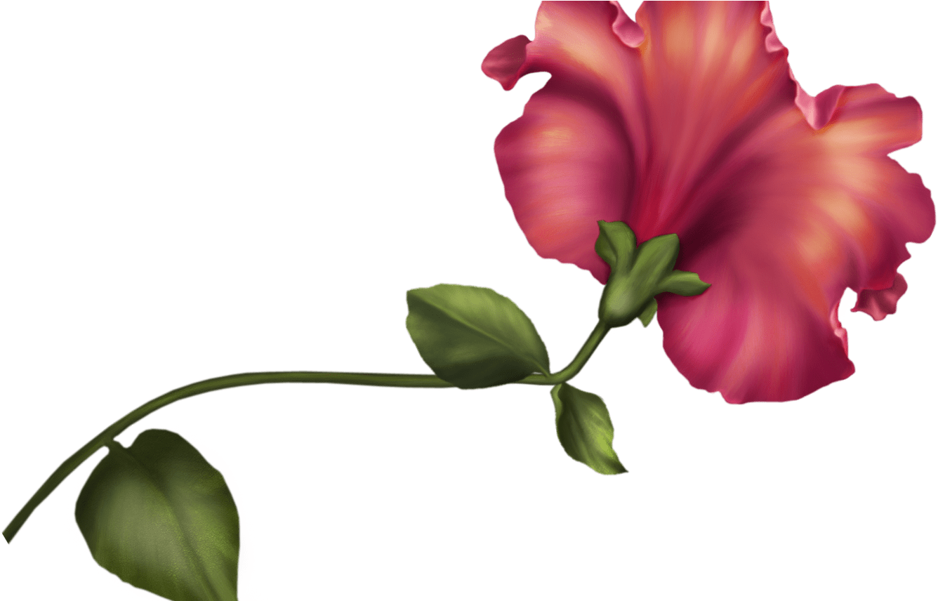 Vintage Flower Png Clip Art Best Web Clipart - Vintage Flower Clipart Png (1336x856), Png Download