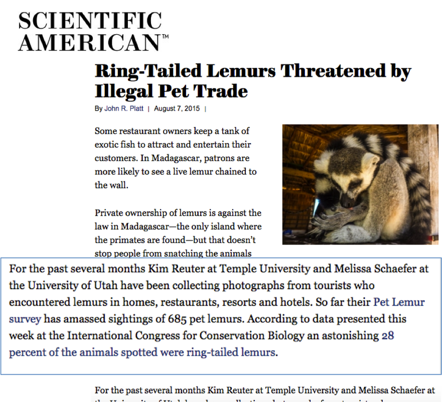 Pet Lemurs In Madagascar - Scientific American (881x800), Png Download