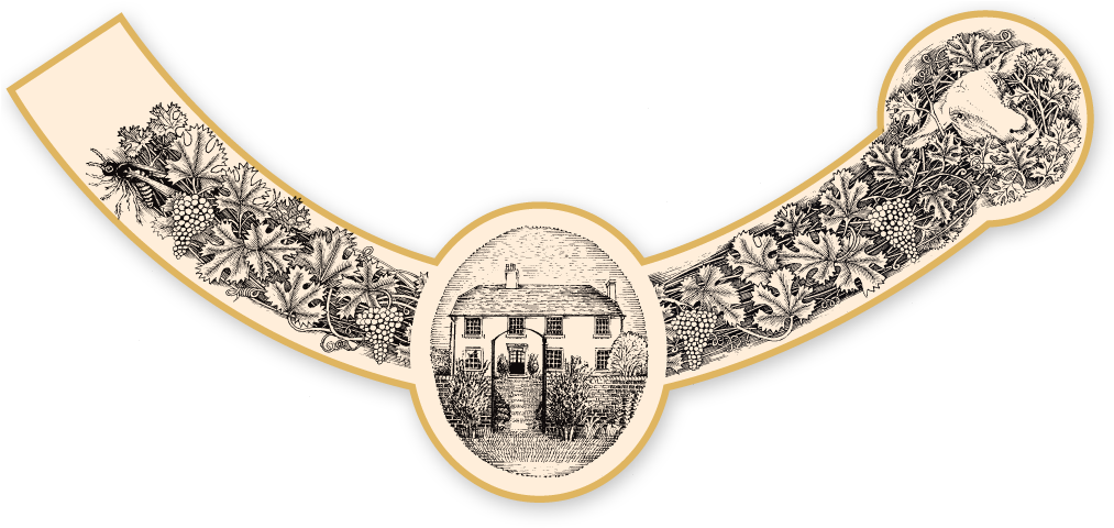 Court Garden 2010 Vintage Range - Coin (1012x486), Png Download