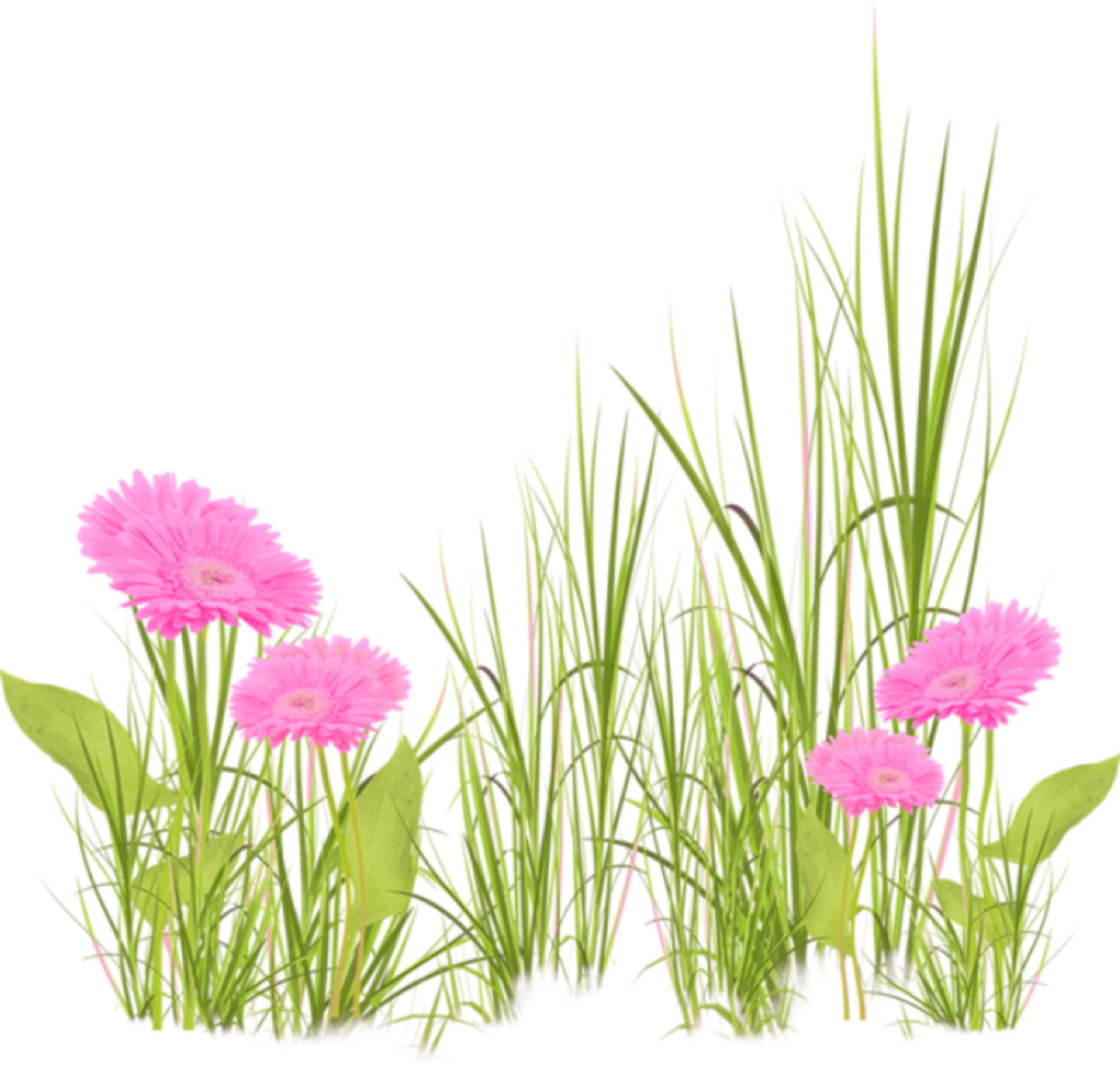 Grama De Flores Png (1024x974), Png Download