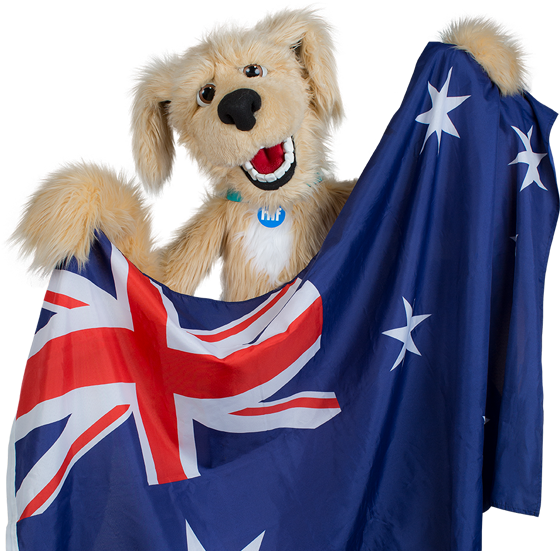Visa-compliant Overseas Visitors Health Cover - Golden Retriever (560x560), Png Download