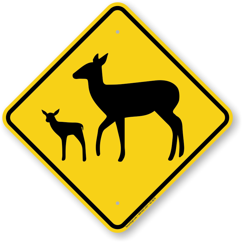 Zoom, Price, Buy - Road Sign In Sri Lanka (800x800), Png Download