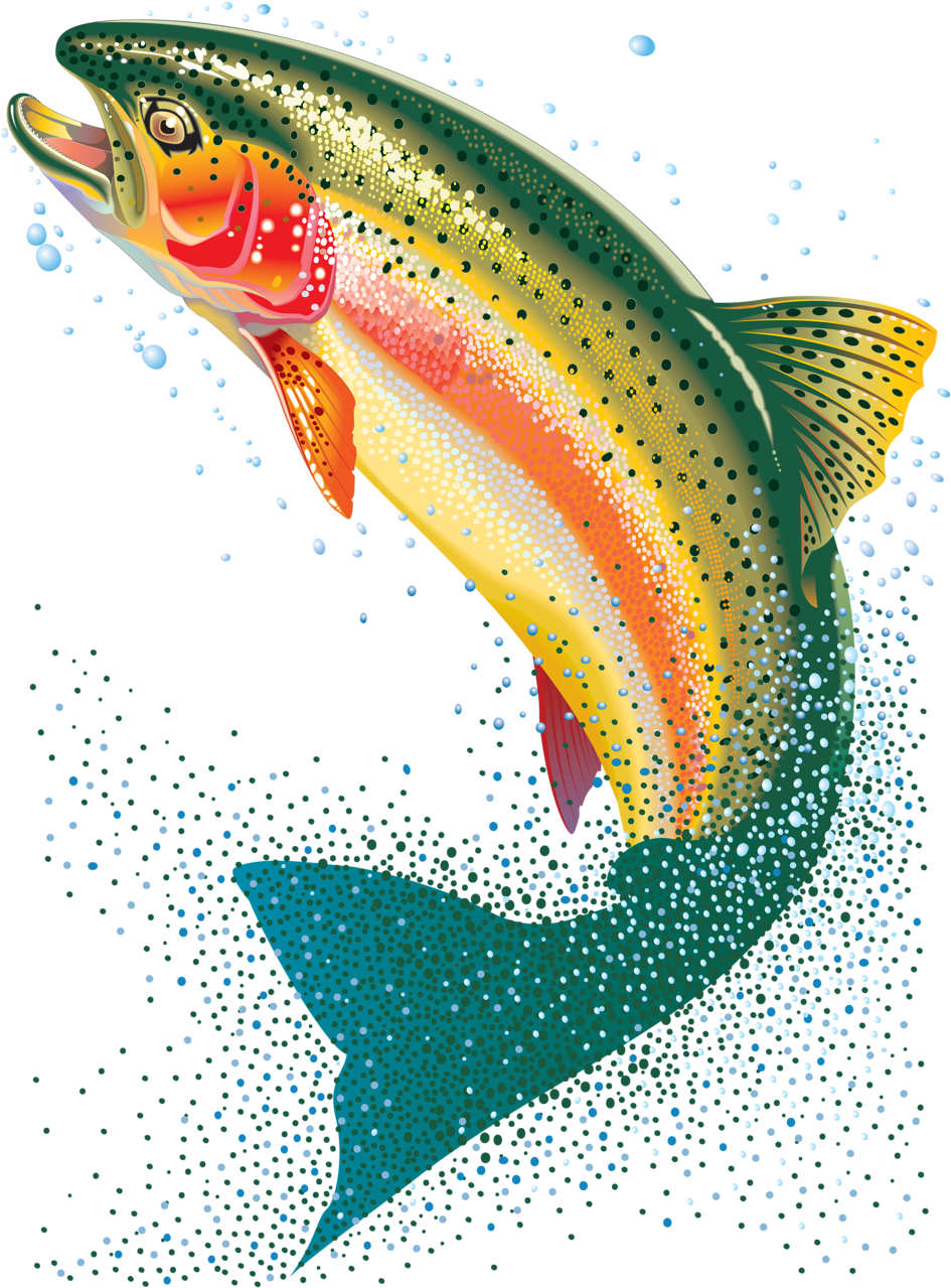 Яндекс - Фотки - Transparent Background Trout Clipart Png (971x1280), Png Download