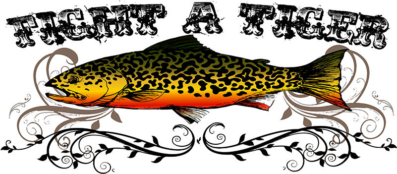 Very Few People Outside The Trout Fishing Community - Tiger Trout (800x575), Png Download
