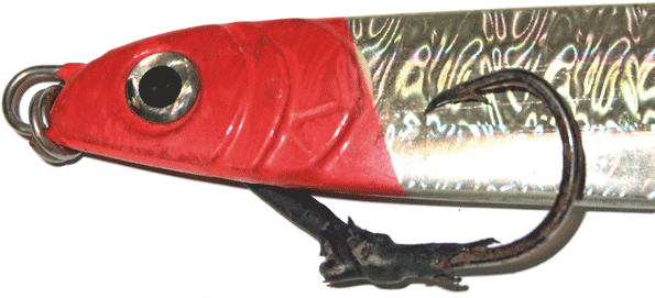 Red And White Lure - Red (600x290), Png Download