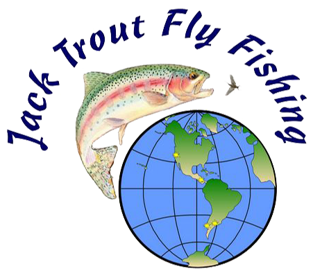 Jack Trout Fly Fishing - Catfish (463x397), Png Download