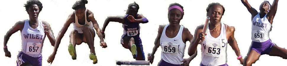 Wildcat Athletics Wildcat Athletics - Wiley College Wildcats Women's Basketball (970x224), Png Download